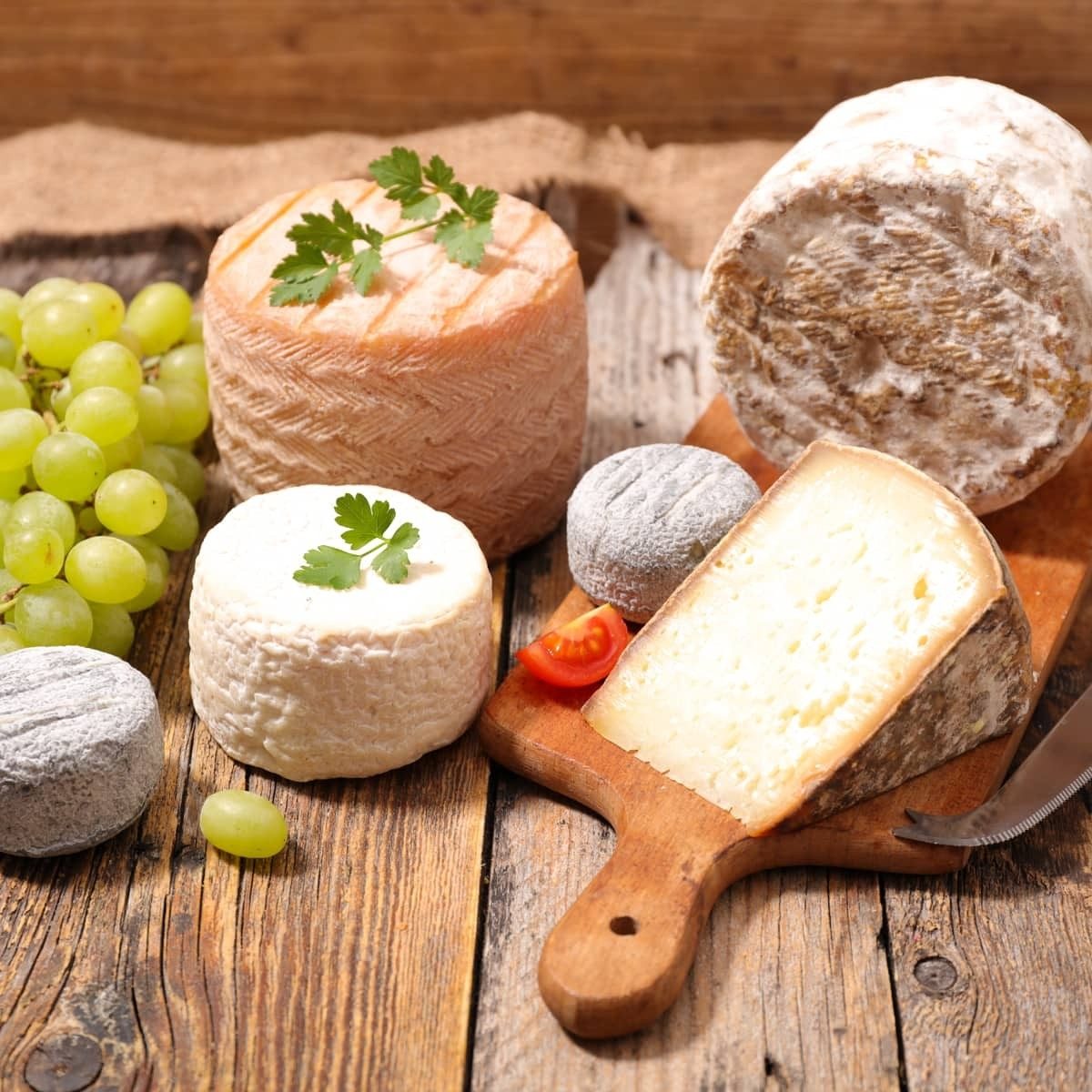 gastronomia
